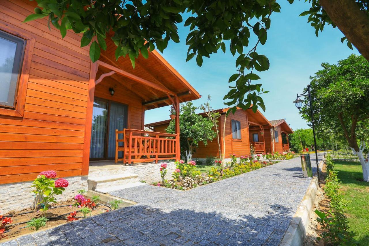Çıralı Merry Bungalow & Tent מראה חיצוני תמונה